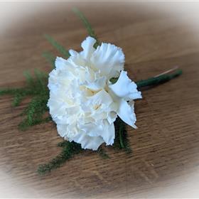 fwthumbButtonhole White Carnation.jpg